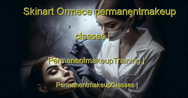 Skinart Ormece permanentmakeup classes | PermanentmakeupTraining | PermanentmakeupClasses | SkinartTraining-Turkey